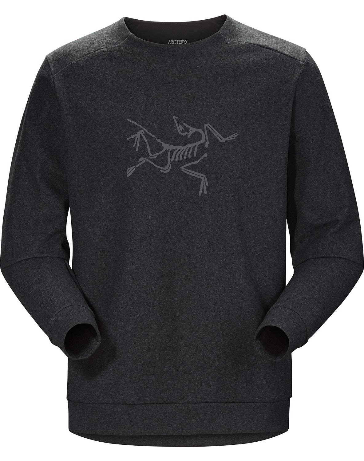 Pullover Arc'teryx Mentum Bird Emblem Uomo Nere - IT-1943167